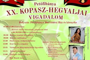 Kopasz-hegyaljai vigadalom